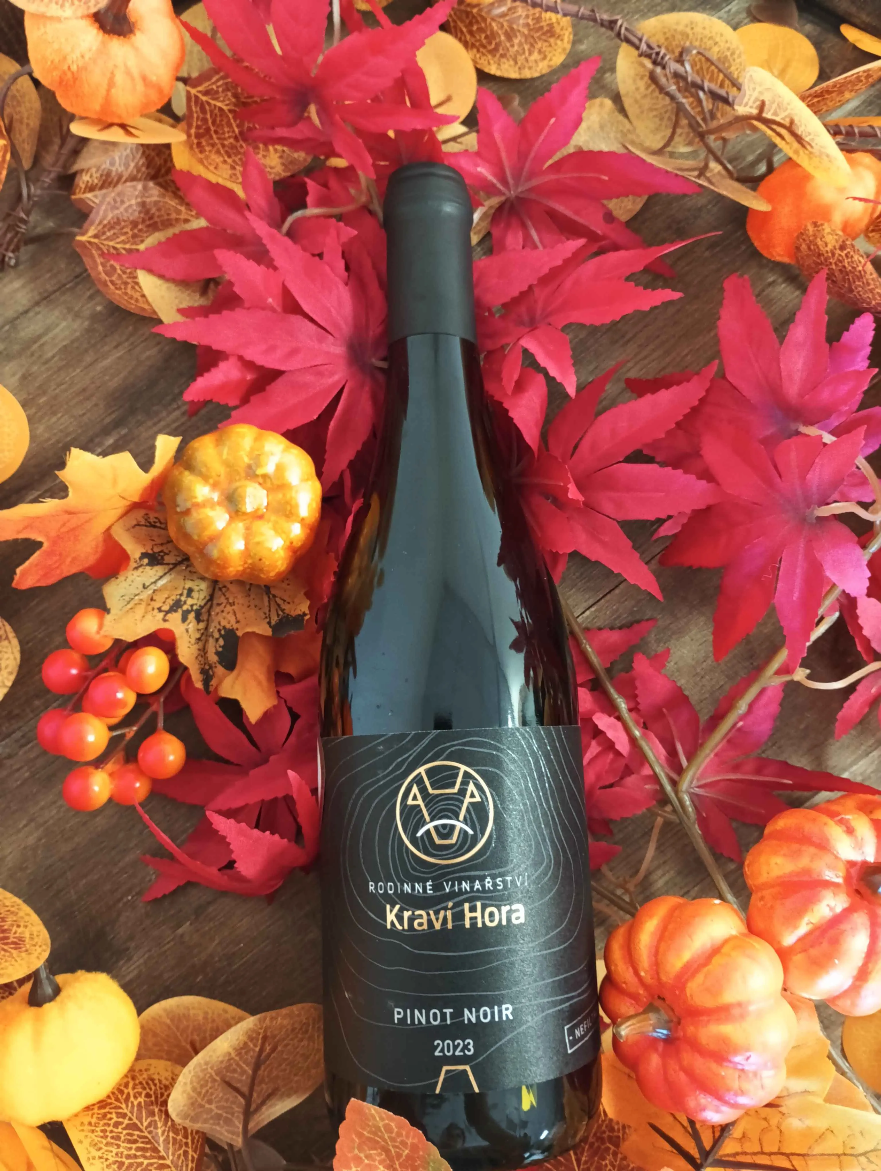 Pinot noir (Rulandské modré) 2023 - Suché - Kraví Hora